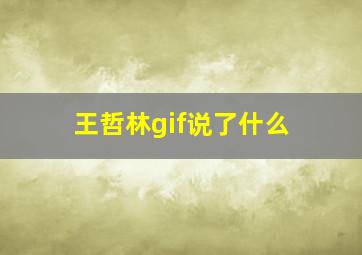 王哲林gif说了什么