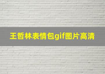 王哲林表情包gif图片高清