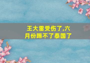 王大雷受伤了,六月份踢不了泰国了