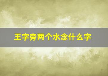 王字旁两个水念什么字