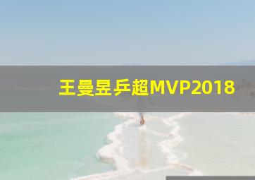 王曼昱乒超MVP2018