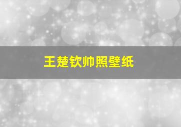 王楚钦帅照壁纸