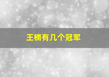 王楠有几个冠军