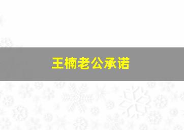 王楠老公承诺