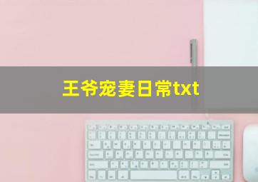 王爷宠妻日常txt