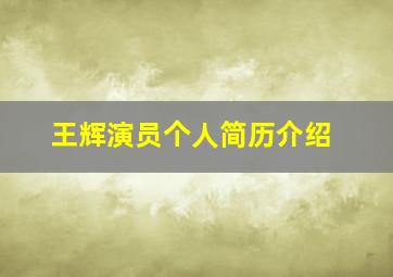 王辉演员个人简历介绍