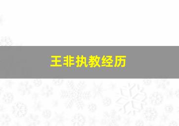 王非执教经历