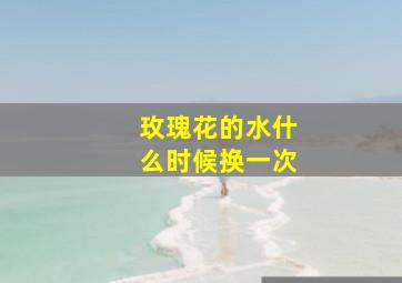 玫瑰花的水什么时候换一次