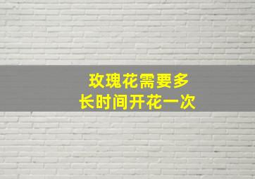 玫瑰花需要多长时间开花一次