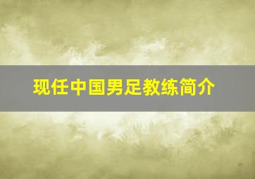 现任中国男足教练简介