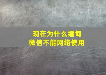 现在为什么缅甸微信不能网络使用