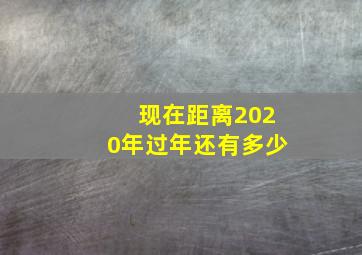 现在距离2020年过年还有多少