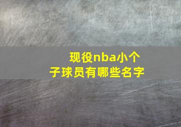 现役nba小个子球员有哪些名字