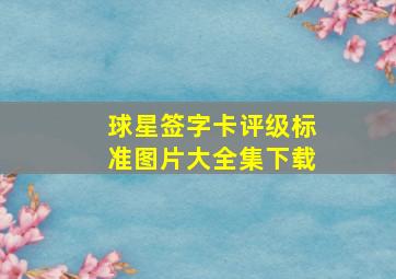 球星签字卡评级标准图片大全集下载