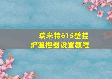 瑞米特615壁挂炉温控器设置教程