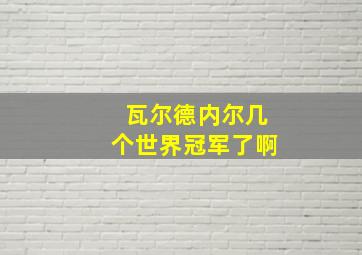 瓦尔德内尔几个世界冠军了啊