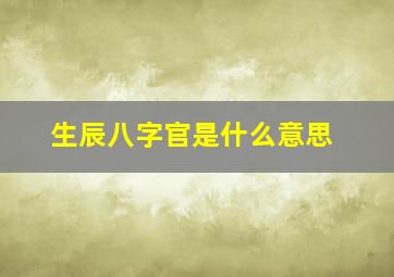 生辰八字官是什么意思