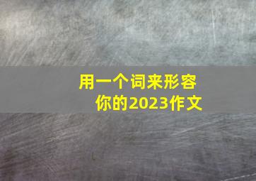 用一个词来形容你的2023作文