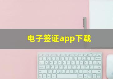 电子签证app下载