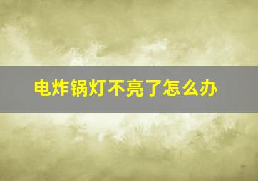 电炸锅灯不亮了怎么办