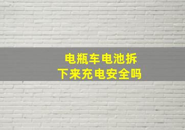 电瓶车电池拆下来充电安全吗