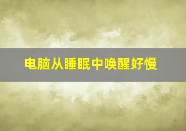 电脑从睡眠中唤醒好慢