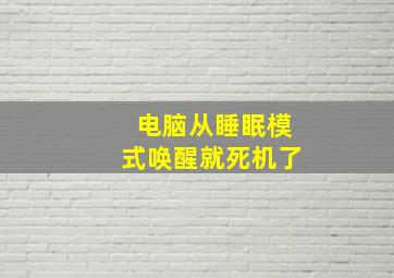 电脑从睡眠模式唤醒就死机了