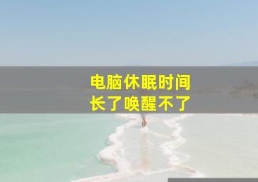 电脑休眠时间长了唤醒不了