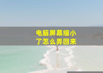 电脑屏幕缩小了怎么弄回来