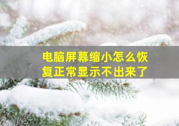 电脑屏幕缩小怎么恢复正常显示不出来了