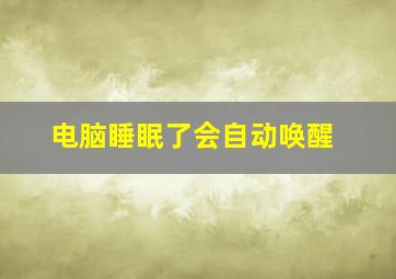 电脑睡眠了会自动唤醒