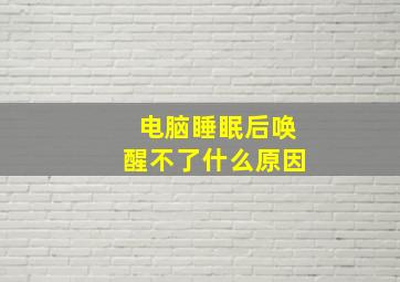 电脑睡眠后唤醒不了什么原因