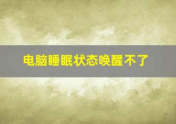 电脑睡眠状态唤醒不了