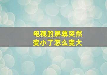 电视的屏幕突然变小了怎么变大