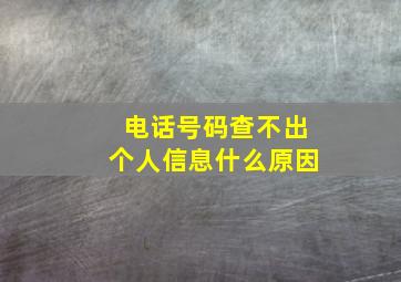 电话号码查不出个人信息什么原因