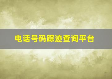 电话号码踪迹查询平台