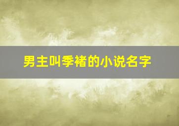 男主叫季褚的小说名字