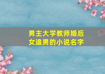 男主大学教师婚后女追男的小说名字