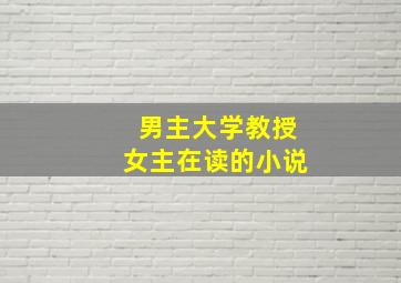 男主大学教授女主在读的小说