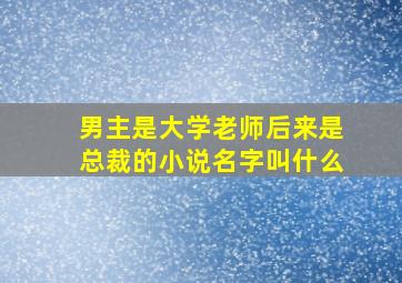 男主是大学老师后来是总裁的小说名字叫什么