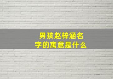 男孩赵梓涵名字的寓意是什么