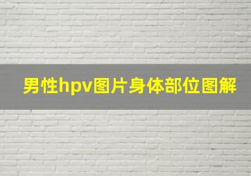 男性hpv图片身体部位图解