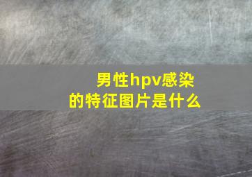 男性hpv感染的特征图片是什么