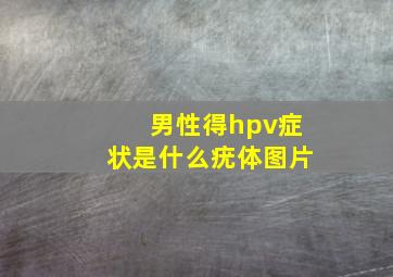 男性得hpv症状是什么疣体图片