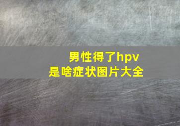 男性得了hpv是啥症状图片大全