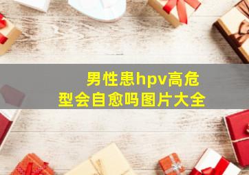 男性患hpv高危型会自愈吗图片大全