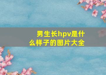 男生长hpv是什么样子的图片大全