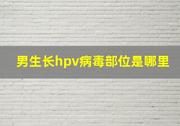 男生长hpv病毒部位是哪里