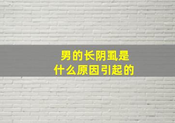 男的长阴虱是什么原因引起的