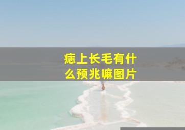 痣上长毛有什么预兆嘛图片